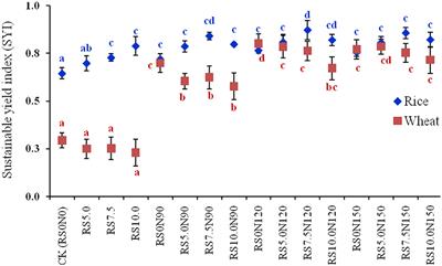 Responses of Soil Carbon Pools, Enzymatic Activity, and Crop Yields to Nitrogen and Straw Incorporation in a Rice-Wheat Cropping System in North-Western India